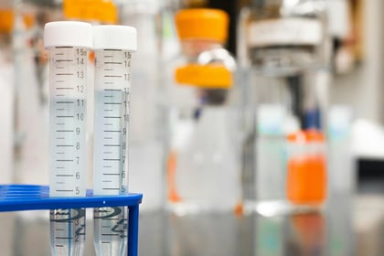 Vaccine Discovery Group